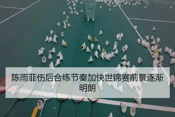 陈雨菲伤后合练节奏加快世锦赛前景逐渐明朗